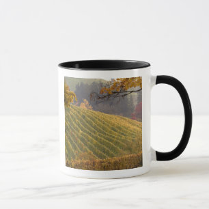 USA, Oregon, Newberg. Weinberg im Herbst. Tasse
