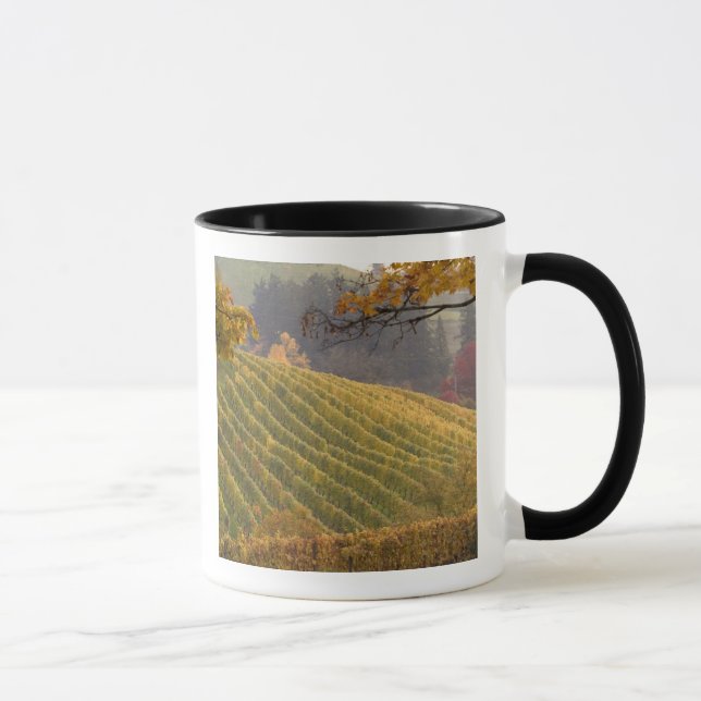 USA, Oregon, Newberg. Weinberg im Herbst. Tasse (Rechts)