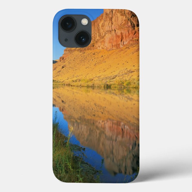 USA, Oregon, Owyhee River Canyon Case-Mate iPhone Hülle (Rückseite)