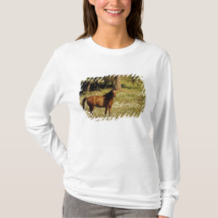 USA, Oregon. Pferd auf einem Feld mit Gänseblümche T-Shirt