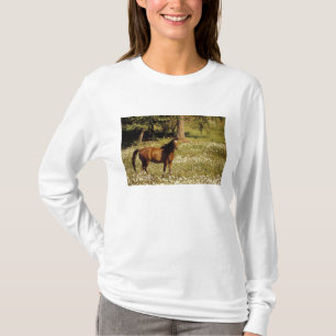 USA, Oregon Pferd im Feld der Molkereien T-Shirt