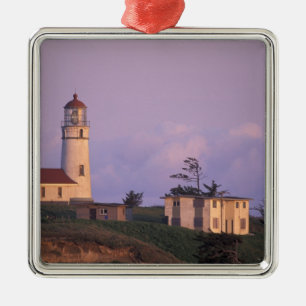 USA, Oregon, Port Orford Region, Cape Blanco Silbernes Ornament