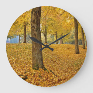 USA, Oregon, Portland. American Linden Trees Große Wanduhr