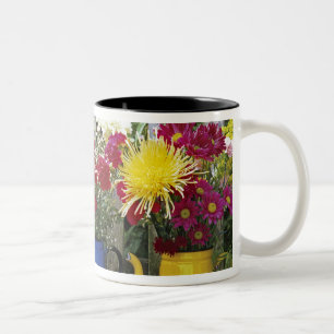 USA, Oregon, Portland. Antikes Emaille-Geschirr Zweifarbige Tasse