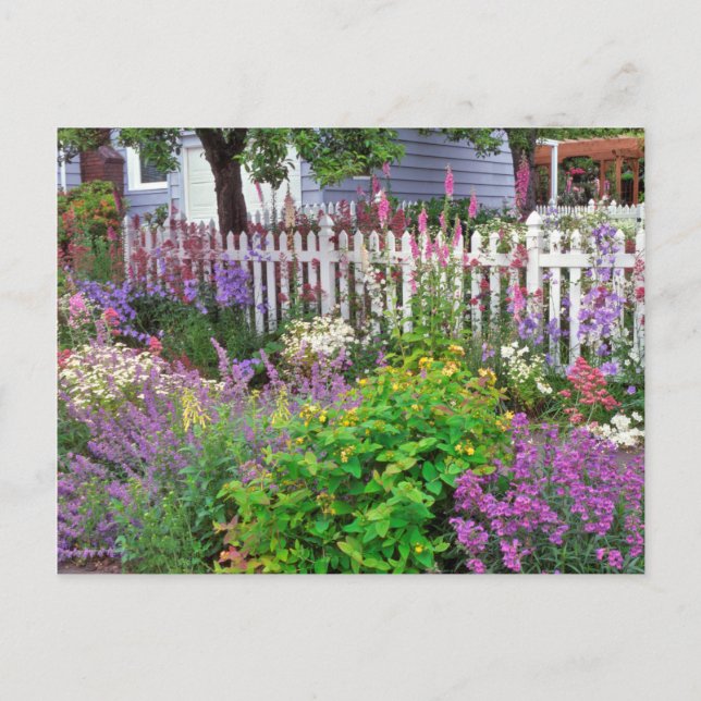 USA, Oregon, Portland. Explosion der Springzeit Postkarte (Vorderseite)