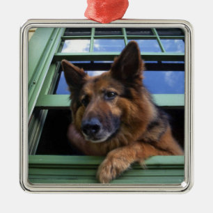 USA, Oregon, Portland. Griff mit langem Haar Silbernes Ornament