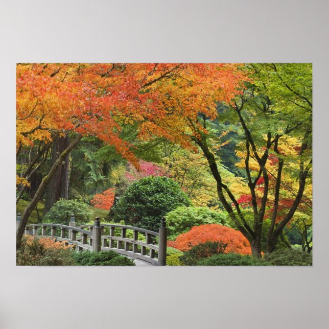 USA, Oregon, Portland. Holzbrücke und Ahorn Poster (Vorne)