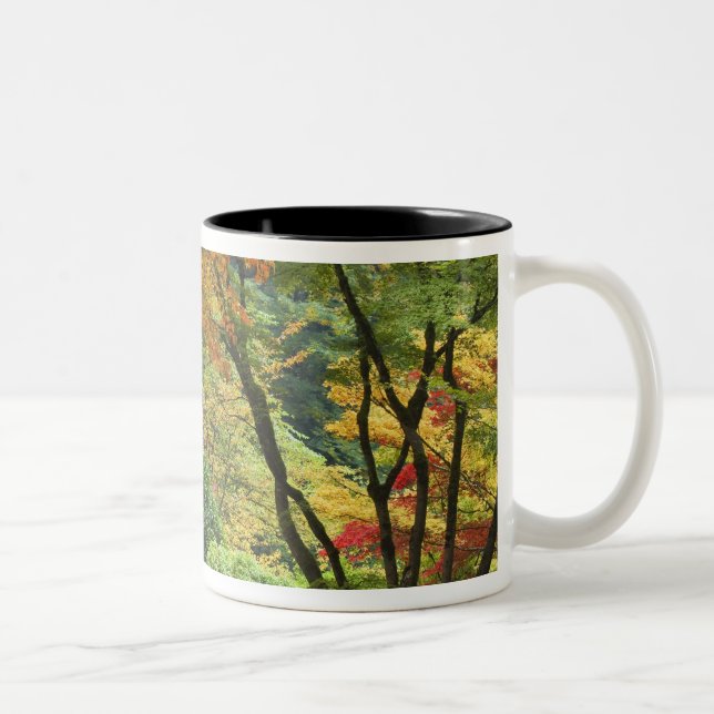 USA, Oregon, Portland. Holzbrücke und Ahorn Zweifarbige Tasse (Rechts)