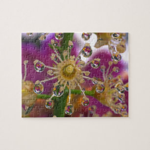 USA, Oregon, Portland. Kosmosblumen spiegeln sich Puzzle