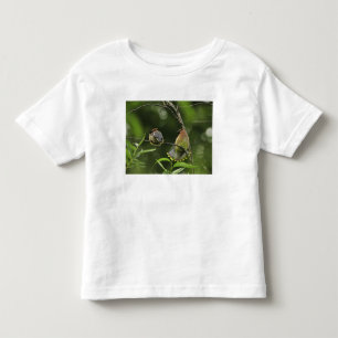 USA, Oregon, Portland. Männlicher Seidenschwanz Kleinkind T-shirt