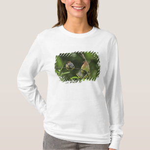 USA, Oregon, Portland. Männlicher Zedernwachs T-Shirt