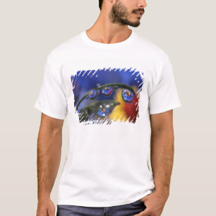 USA, Oregon, Portland, Nahaufnahme eines Marienkäf T-Shirt