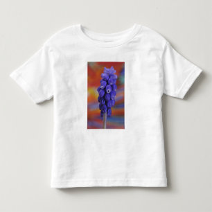 USA, Oregon, Portland. Nahaufnahme von blauer Trau Kleinkind T-shirt