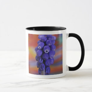 USA, Oregon, Portland. Nahaufnahme von blauer Trau Tasse
