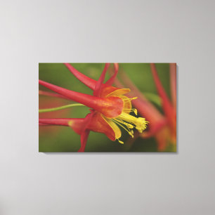 USA, Oregon, Portland. Nahe Kolumbin Leinwanddruck