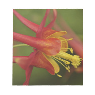 USA, Oregon, Portland. Nahe Kolumbus Notizblock