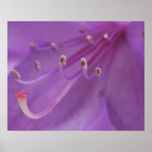 USA, Oregon, Portland. Nahe Poster