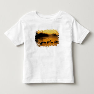 USA, Oregon, Portland. Wasservögel in Columbia Kleinkind T-shirt