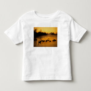 USA, Oregon, Portland. Wasservögel in Columbia Kleinkind T-shirt