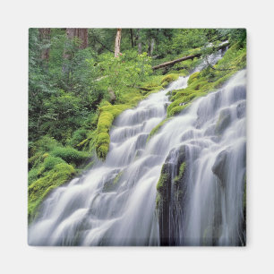 USA, Oregon, Proxy Falls. Proxy Falls stürzen Magnet