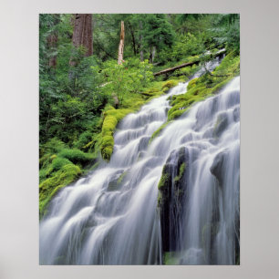USA, Oregon, Proxy Falls. Proxy Falls stürzen Poster