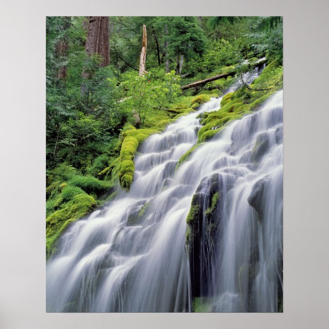 USA, Oregon, Proxy Falls. Proxy Falls stürzen Poster (Vorne)