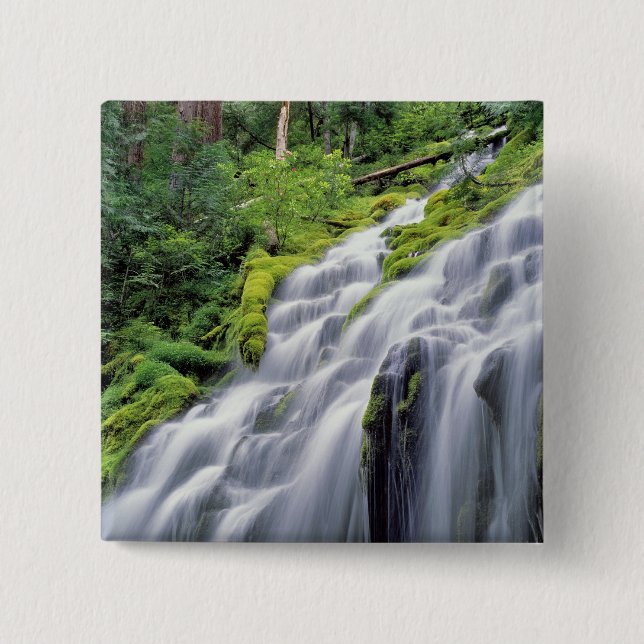 USA, Oregon, Proxy Falls. Proxy Falls stürzt Button (Vorderseite)