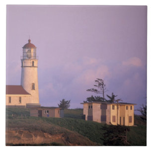 USA, Oregon, Region Port Orford, Cape Blanco Fliese