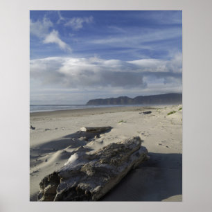 USA, Oregon, Sand Dunes and Ocean, Pacific City Poster
