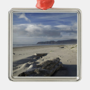 USA, Oregon, Sanddünen und Ozean, Pacific City Ornament Aus Metall