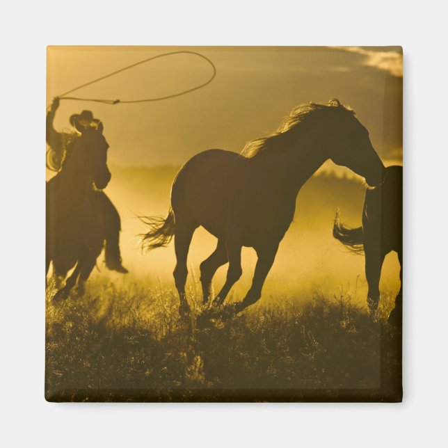 USA, Oregon, Seneca, Ponderosa Ranch. Magnet (Vorne)