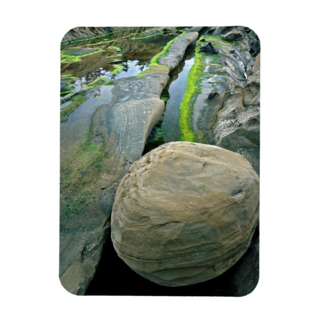 USA, Oregon, Shore Acres Staat Park Magnet (Vertikal)