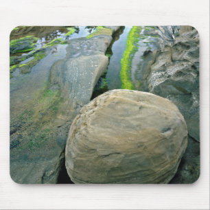 USA, Oregon, Shore Acres Staat Park Mousepad