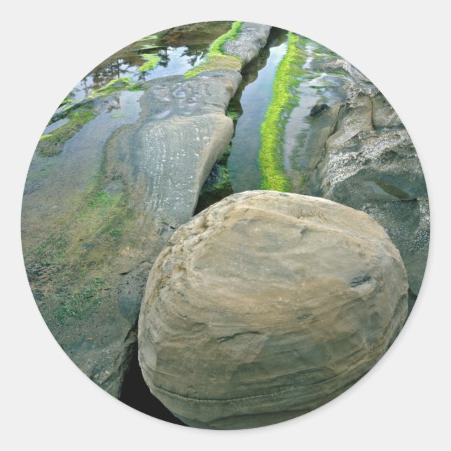 USA, Oregon, Shore Acres Staat Park Runder Aufkleber (Vorderseite)