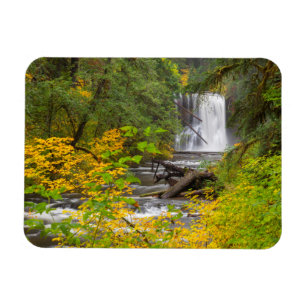 USA, Oregon, Silver Falls Staat Park 2 Magnet
