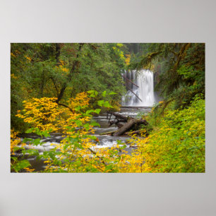 USA, Oregon, Silver Falls Staat Park 2 Poster