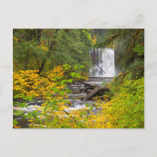 USA, Oregon, Silver Falls Staat Park 2 Postkarte