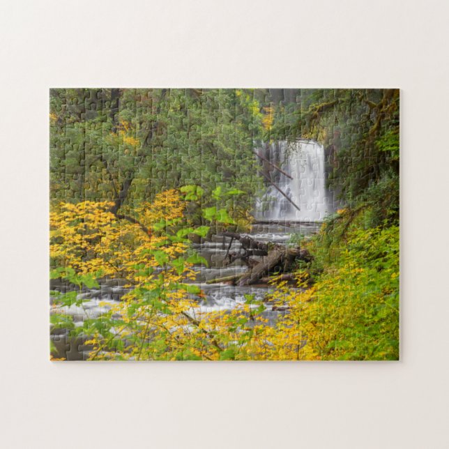 USA, Oregon, Silver Falls Staat Park 2 Puzzle (Horizontal)