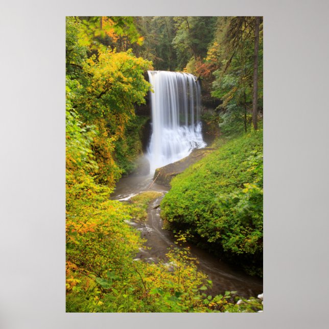 USA, Oregon, Silver Falls Staat Park 3 Poster (Vorne)