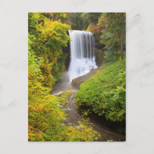 USA, Oregon, Silver Falls Staat Park 3 Postkarte