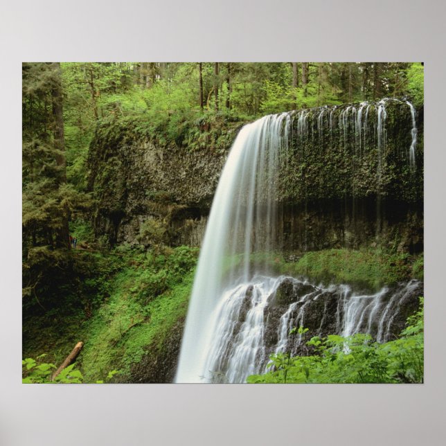 USA, Oregon, Silver Falls Staat Park. unten Poster (Vorne)
