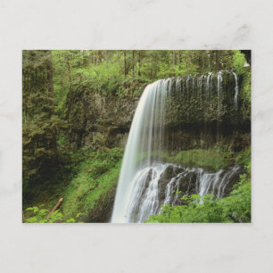 USA, Oregon, Silver Falls Staat Park. Untergrund Postkarte