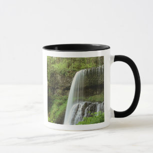 USA, Oregon, Silver Falls Staat Park. Untergrund Tasse