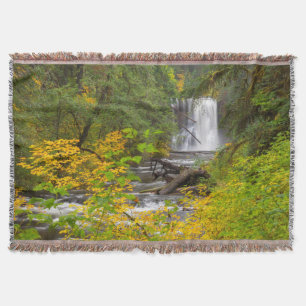 USA, Oregon, Silver Falls State Park 2 Decke