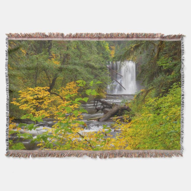 USA, Oregon, Silver Falls State Park 2 Decke (Vorderseite)