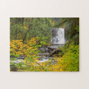 USA, Oregon, Silver Falls State Park 2 Puzzle