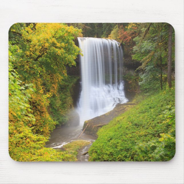 USA, Oregon, Silver Falls State Park 3 Mousepad (Vorne)