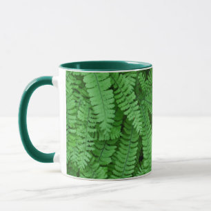 USA, Oregon, Silverton. Frauenhaarfarn Tasse