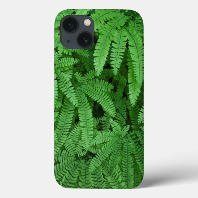 USA, Oregon, Silverton. Maidenhair Ferns Case-Mate iPhone Hülle (Rückseite)