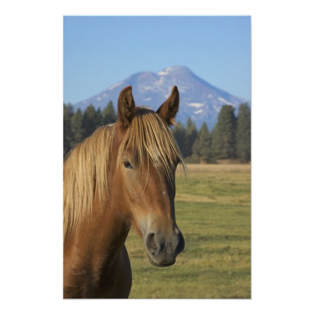 USA, Oregon, Sisters, View Three Sisters, Fotodruck (Vorne)